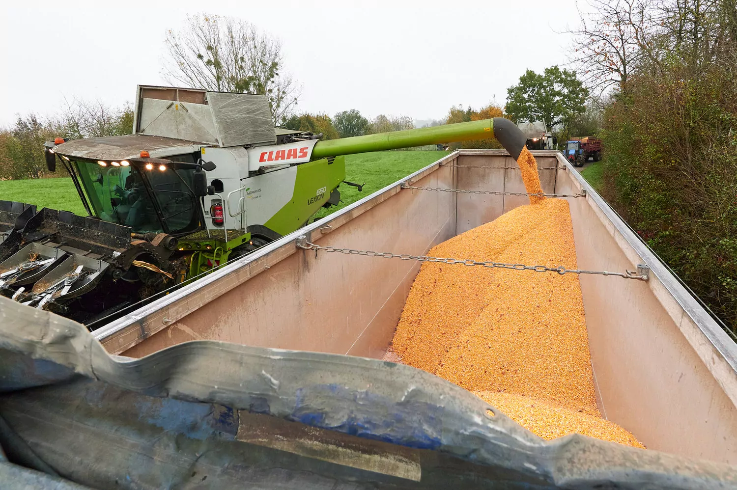 photographe entreprise reportage strasbourg colmar sarreguemines alsace moselle Dites Cheese