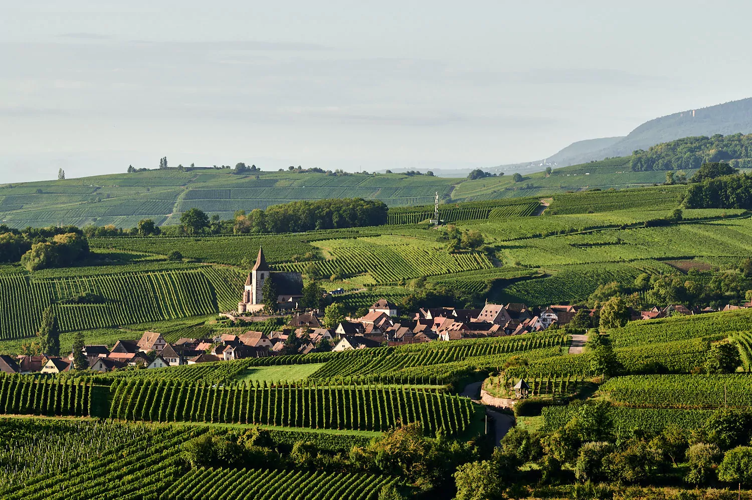 photographe entreprise reportage strasbourg colmar sarreguemines alsace moselle Dites Cheese