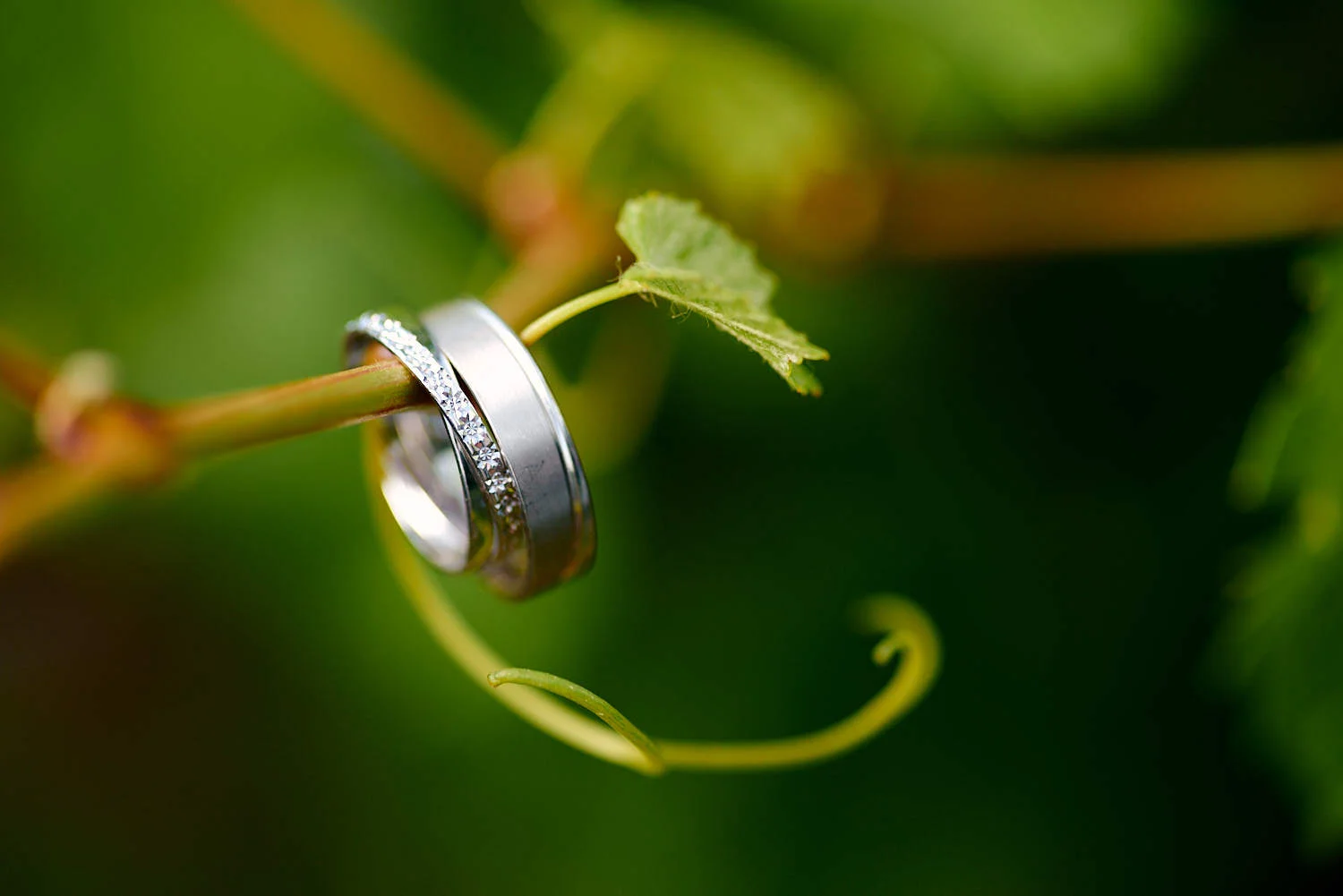photo couple mariage day after romantique vignes barr nature dites cheese 027